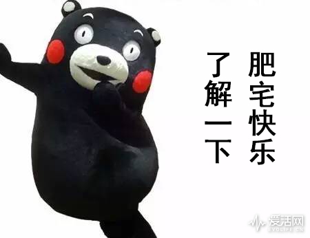 熊本熊