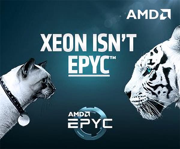 AMD广告挑衅Intel：是猫是虎拉出来遛遛