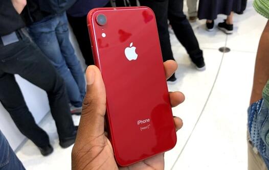 苹果股价持续走跌：iPhone XR需求低迷所致