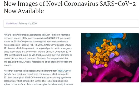 新冠病毒显微镜彩照首度公布！与MERS和SARS相似